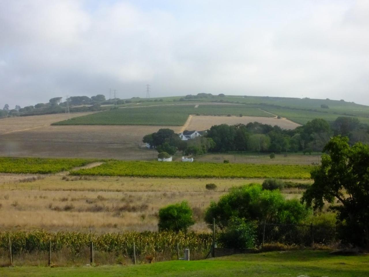 Lauradale Accommodation Stellenbosch Buitenkant foto