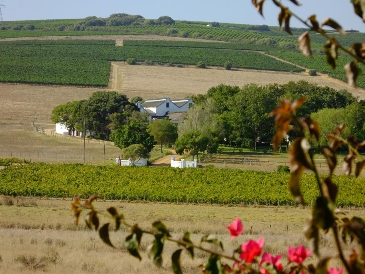 Lauradale Accommodation Stellenbosch Buitenkant foto