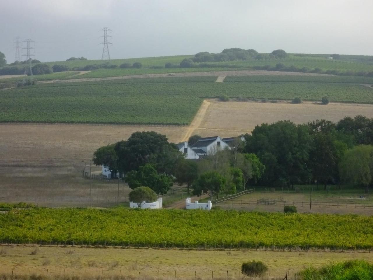 Lauradale Accommodation Stellenbosch Buitenkant foto